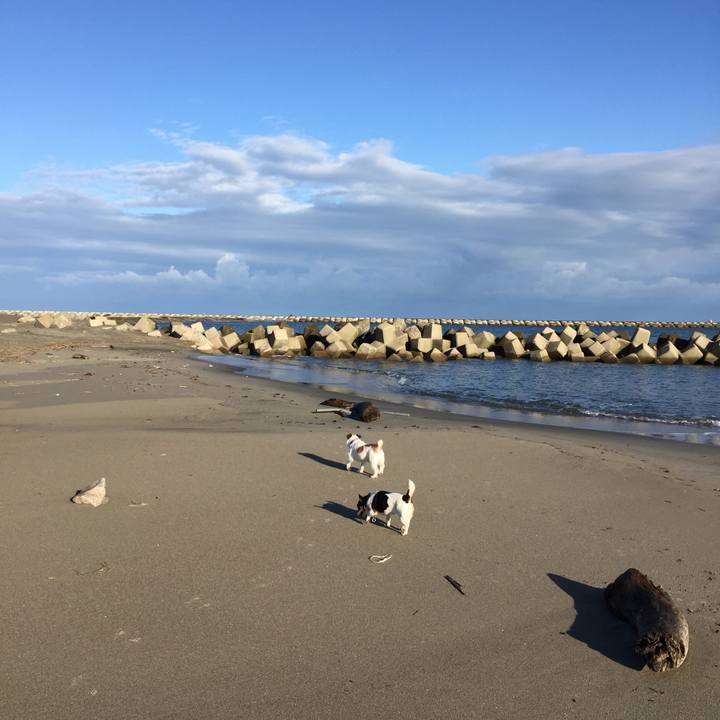 30842c21 f673 4179 b92f 45b7f7ccb586