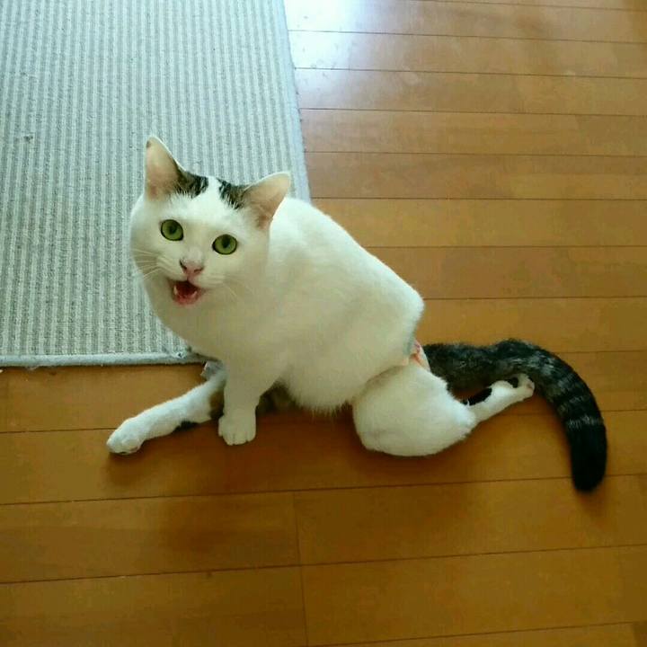 3084db7e 6532 4cad a845 d13d8da558ce