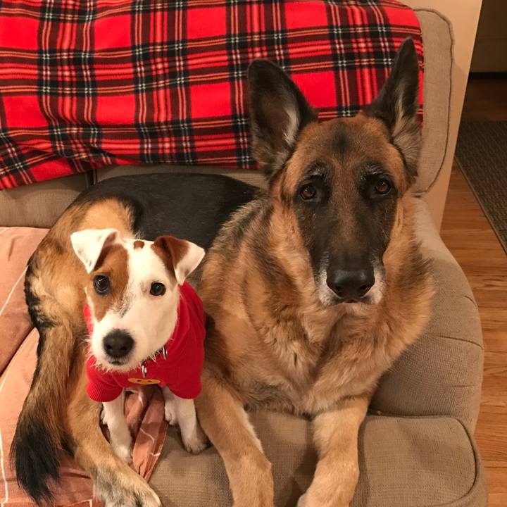 30852f23 f3e7 46c2 9b03 bdac5ad444e3