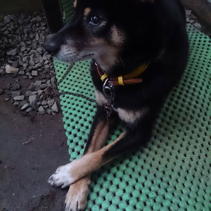 3085941f 4192 4e67 b0d5 771bd5b4800b