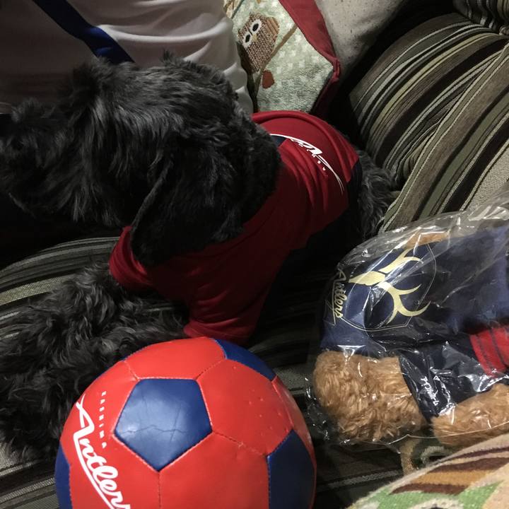 30862614 6ad7 4cfc 91c5 c8b246917640