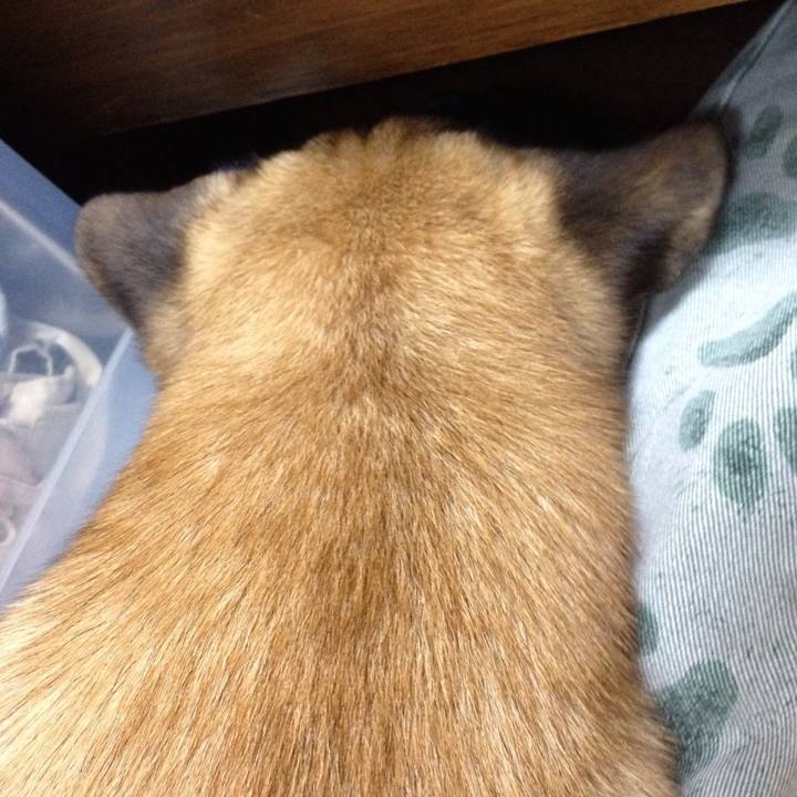 30862d61 f68e 47ff be9b 07dc58fdf80e