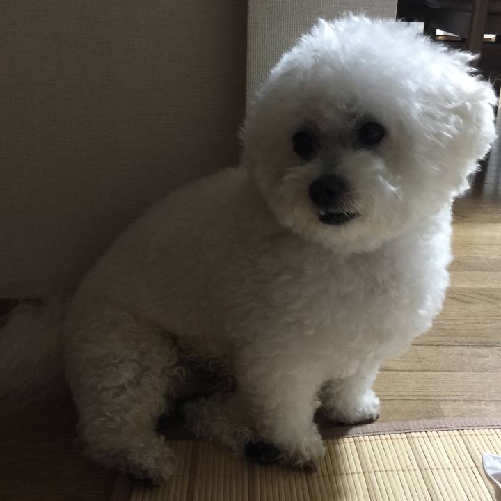 30873d2e 8e74 4de9 8385 4eac801c2a76