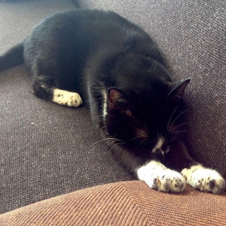 30878abe 5f67 433c ae09 c8d0e4f45dc0