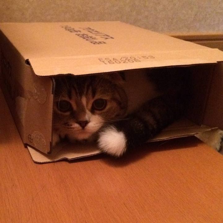 30879bb3 6595 4d64 b049 9382897e8a5e