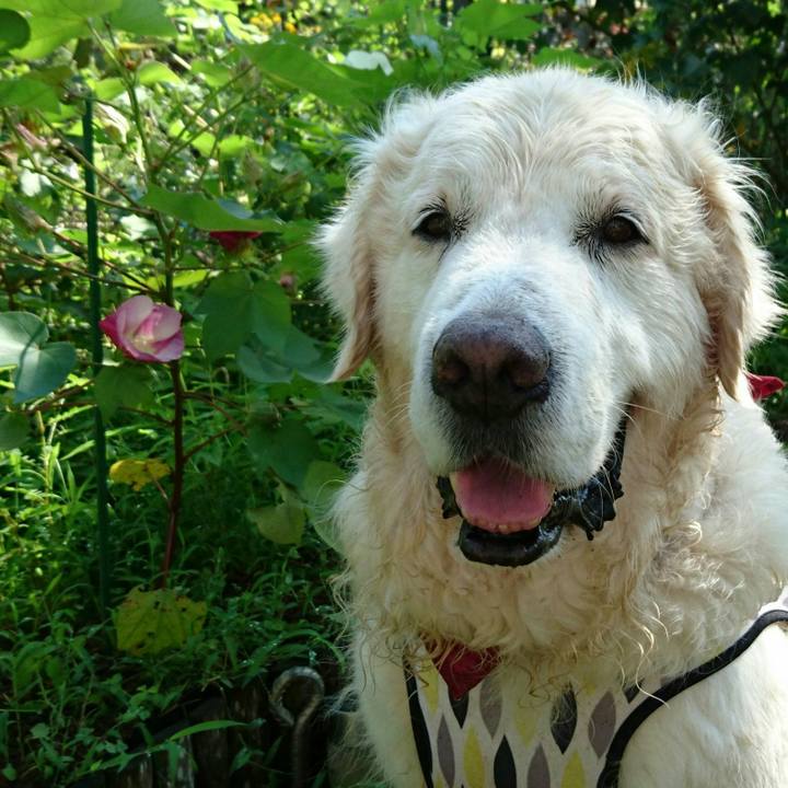 30880481 20d4 496d be4c e166a46ed170