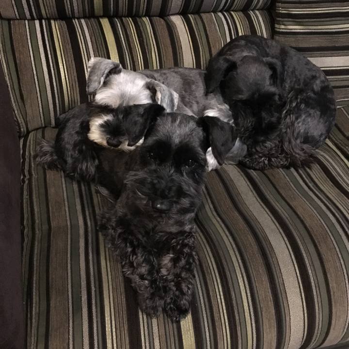 3088325c acb9 4f36 be02 d130e88f37d1