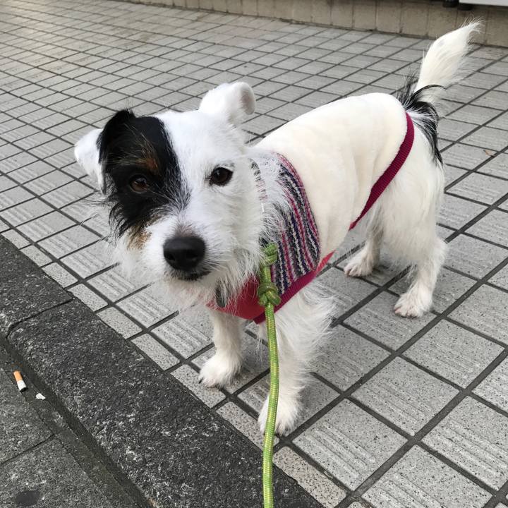 3088eb23 62ac 4ad4 8061 2a8885bc93bc