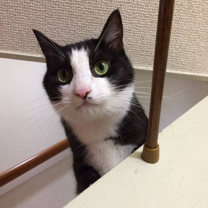 30891d51 a3cd 4a39 a9c6 04c7bf8b8122