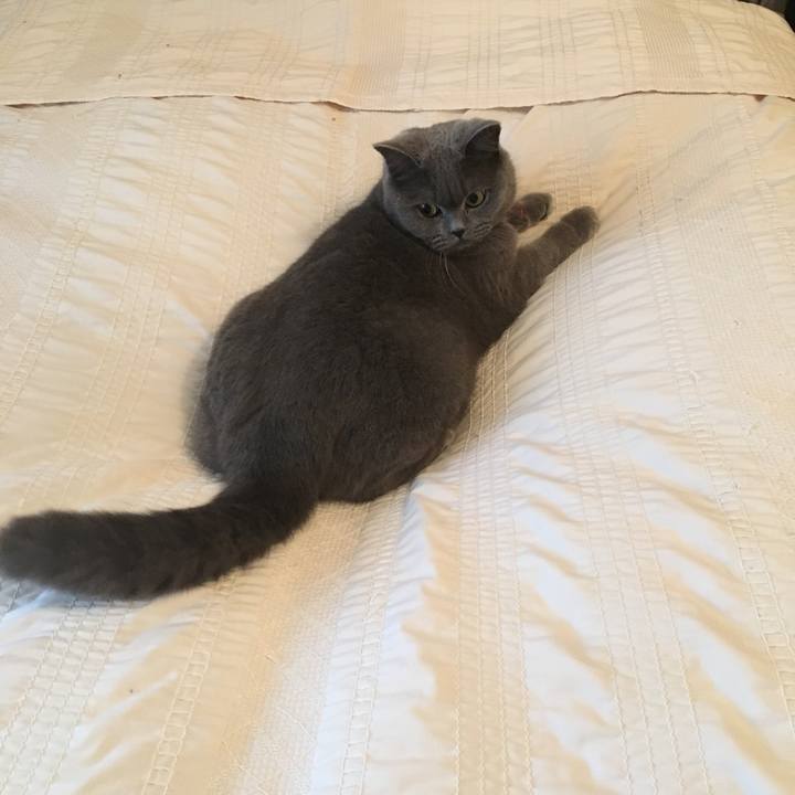 308972b4 a990 4138 b63d 18c56c36c15d