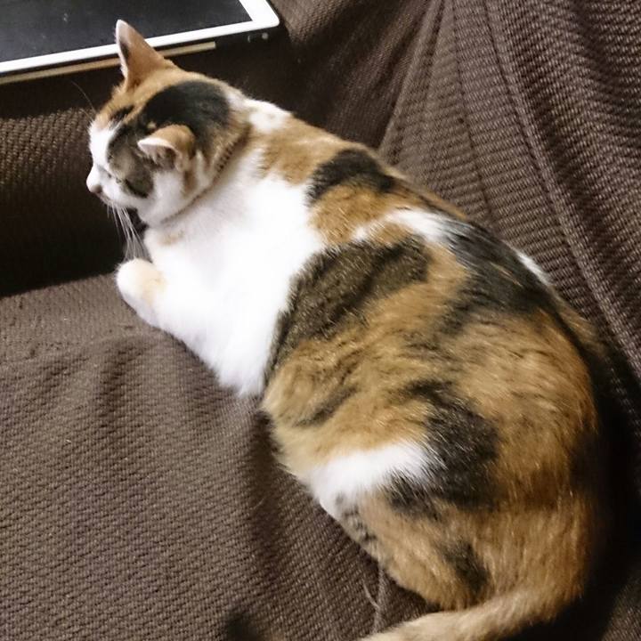 308973c6 e90d 4a49 8f73 26ef4ab45f02