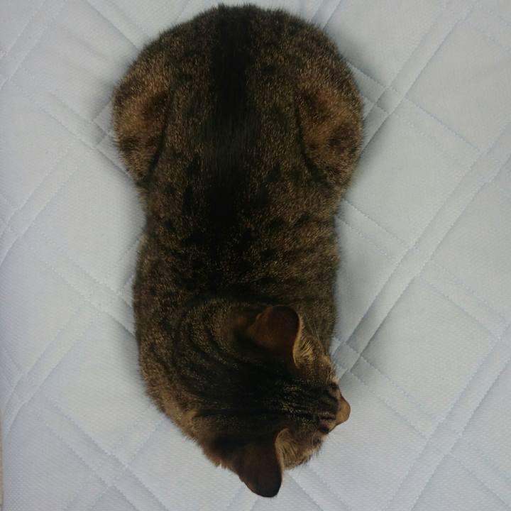 308a263b 20c5 4be6 97df 68cfb0fb2b65