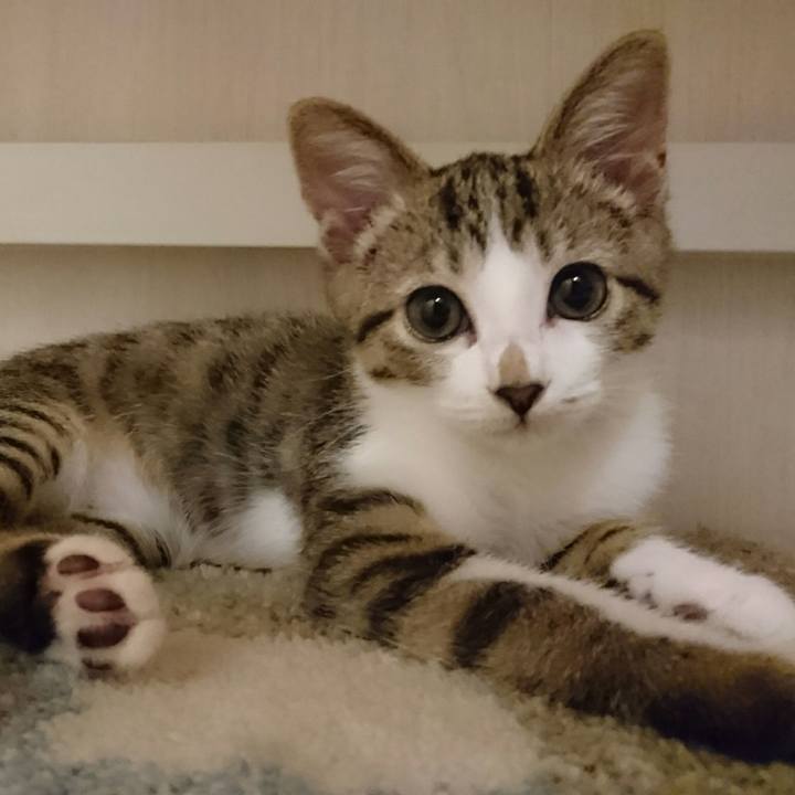 308a9592 2e58 4996 9e3d 826b15836321