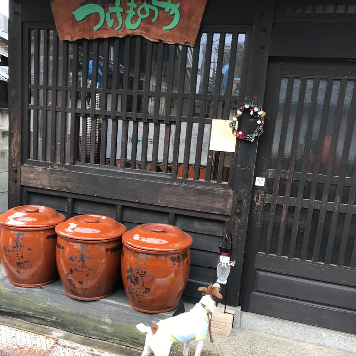 308ae520 7164 4921 8ecd 6f867df1de40