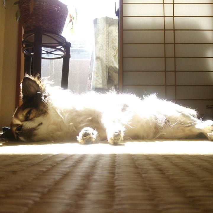 308b1141 50a4 4366 a0c2 22f0bdf0761e