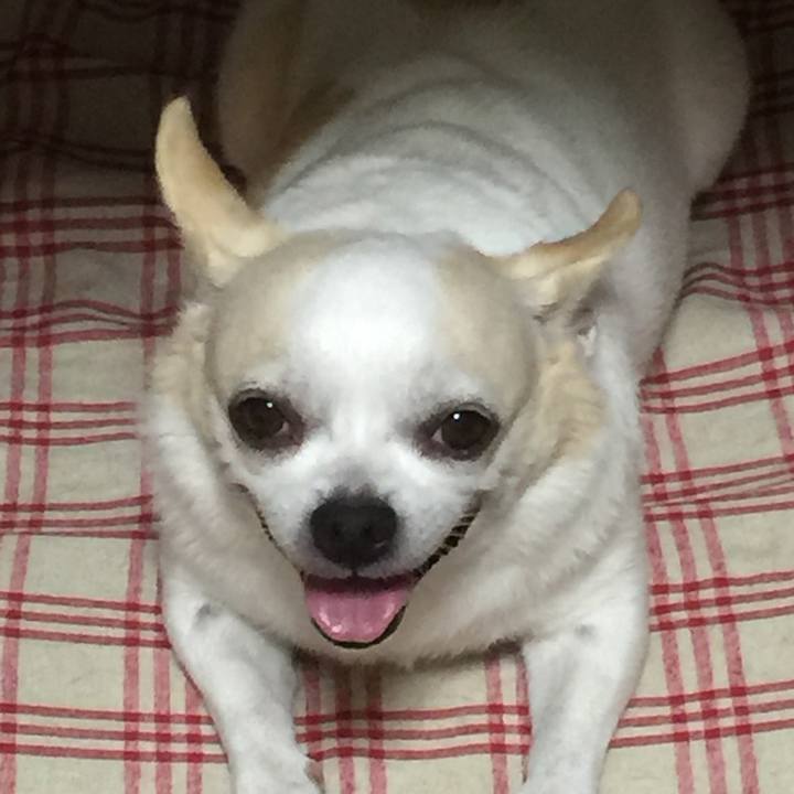 308bd0cf c3d7 486d 8d77 eb3a9849c9f2