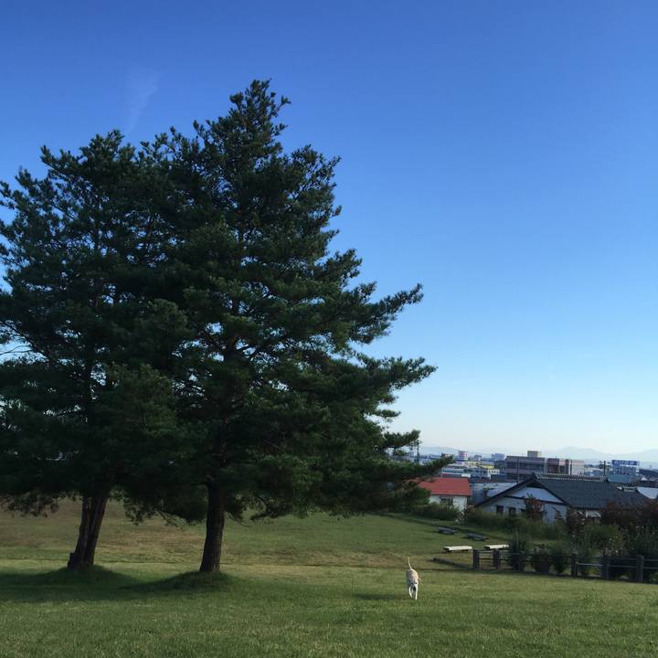 308c82da cb4b 4e6a 8265 87a0c6359294