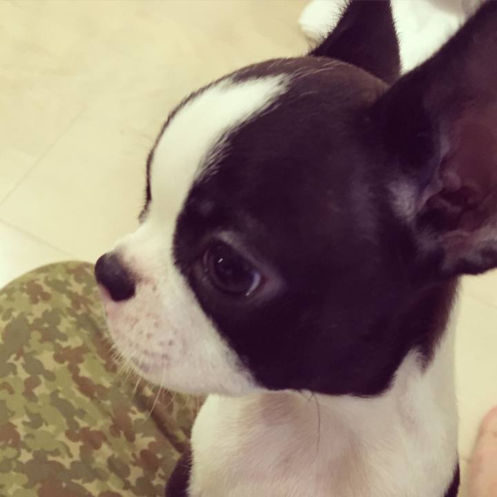 308c8c54 914c 4f22 a450 d5243ef7ee82