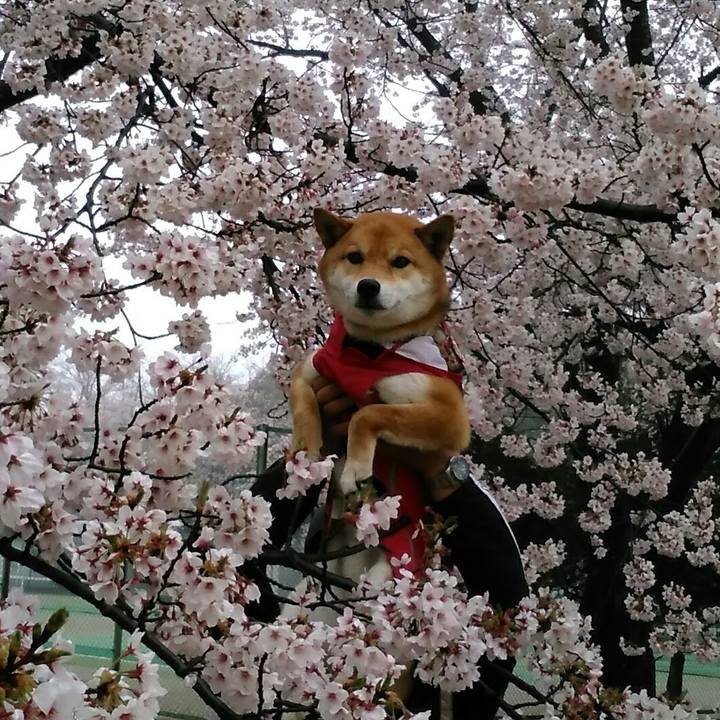 308cb520 3693 4215 8df7 a19828e4e3a6