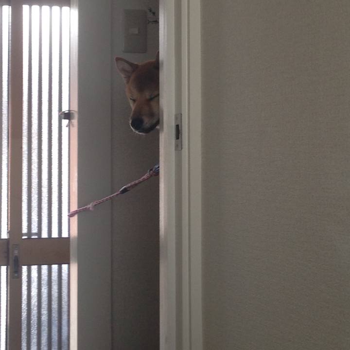 308d004f 76c6 49ef 9b45 c72fb55f4850