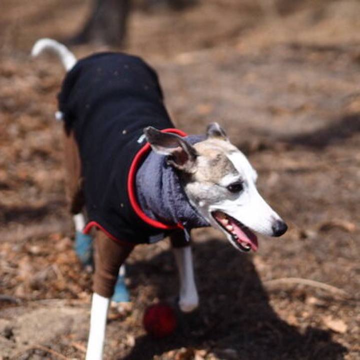 308db36d e6d3 4b2c 9668 2ec4b8a58e73