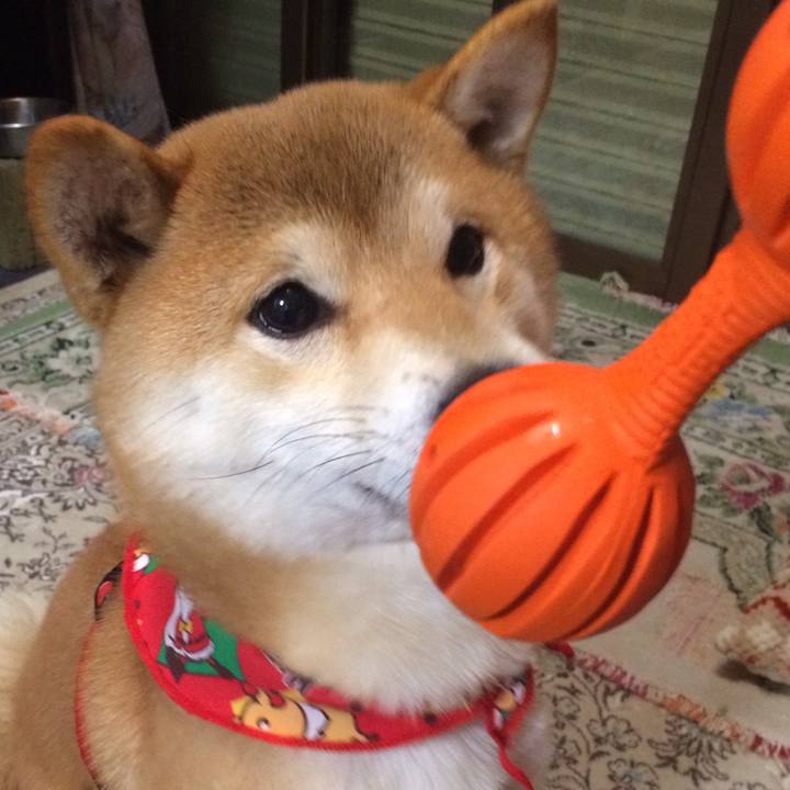 308e6410 63cc 470d a2a2 dcdb246693a5