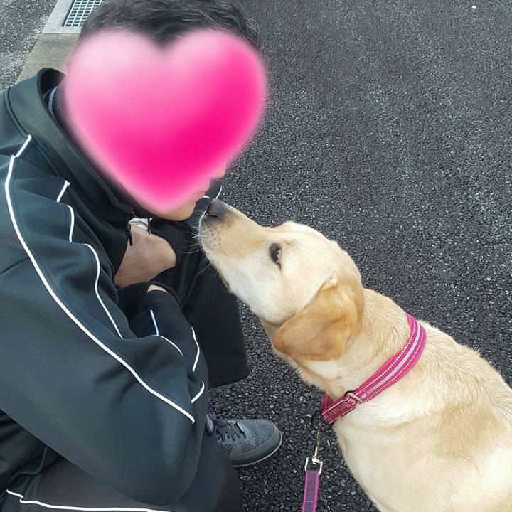 308ec7f1 f19b 4e72 b364 da90740e707d