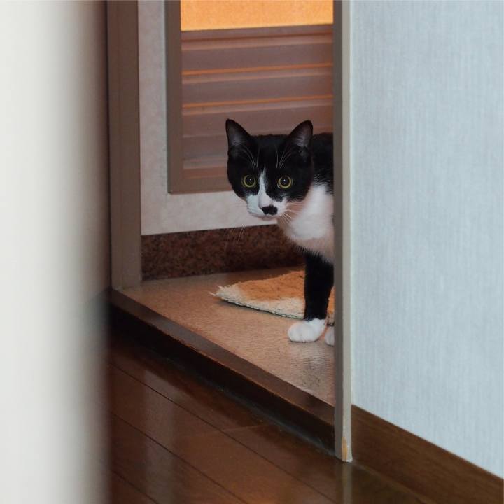 308f0813 71e2 4d7a 9a49 e99f3dbfdf01