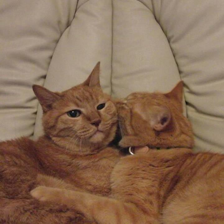 308fa5d5 6763 44a8 8706 d316b8a6f19c