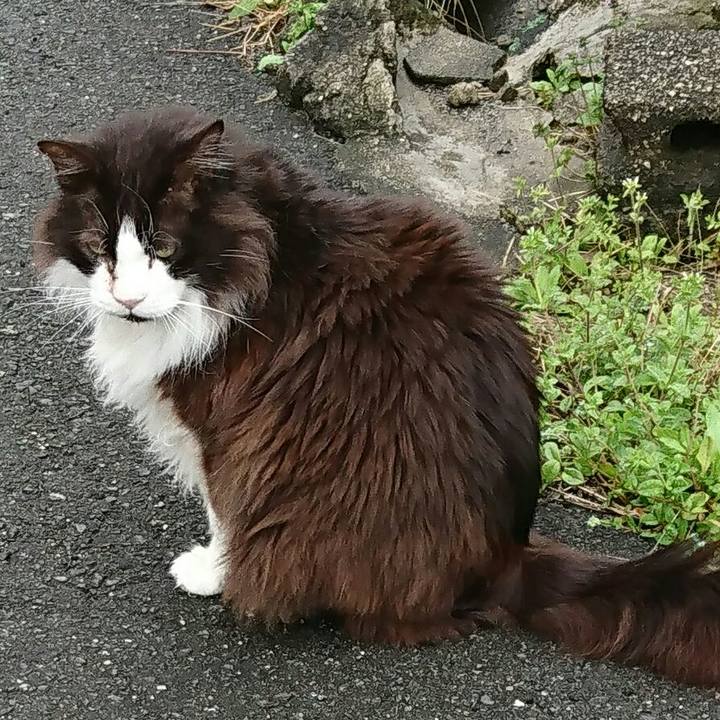 308fb5f5 2401 4f79 9c76 f5b766bfd304