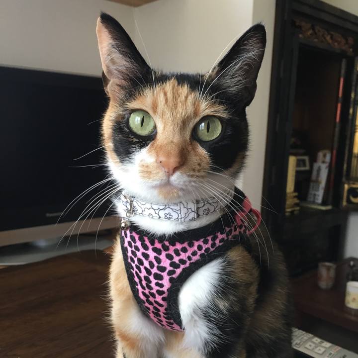 30904e91 df4e 4d19 ad2a 08d050fe9da8