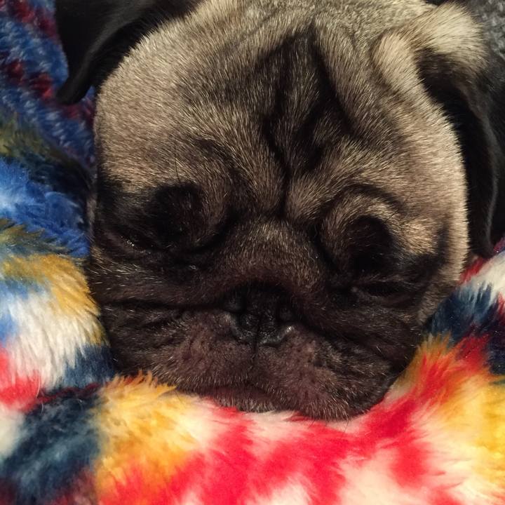 3090755c 0acb 4d5c 9ff7 d4dc92e2b901