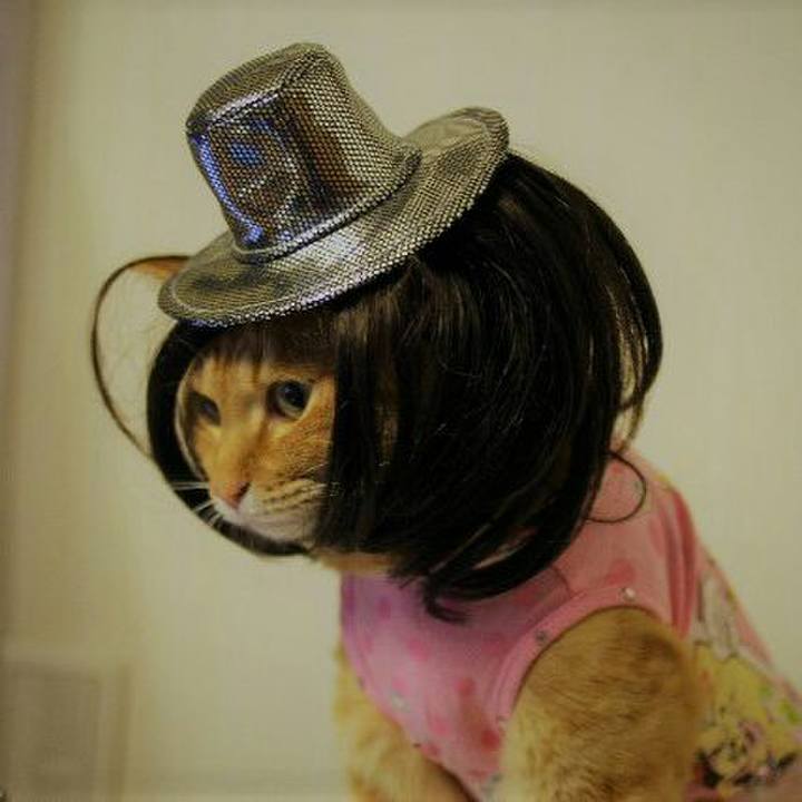 3090823b 1057 47a6 9e25 d38a6d8db5ad