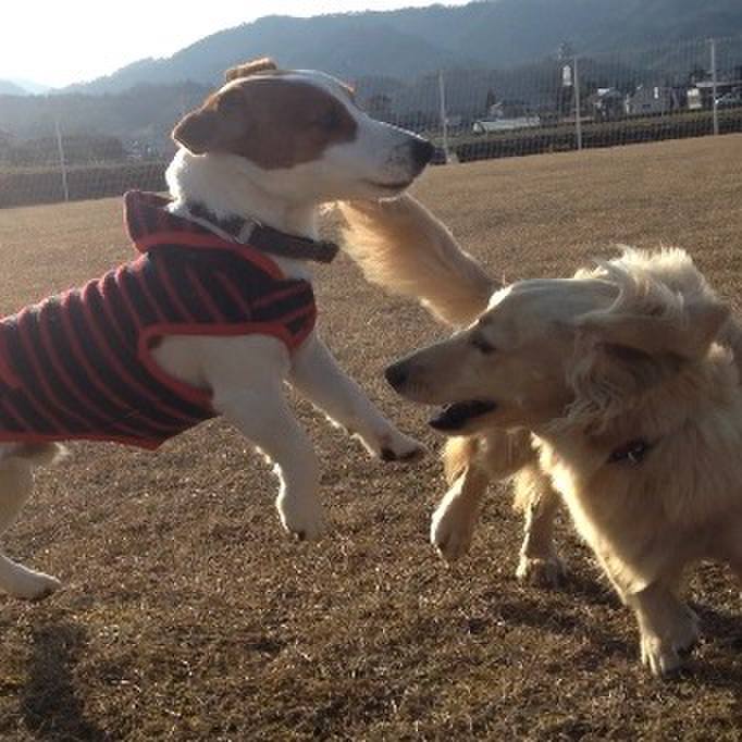 3090b6ba 8274 41ef a412 ac8a2da3bc6a