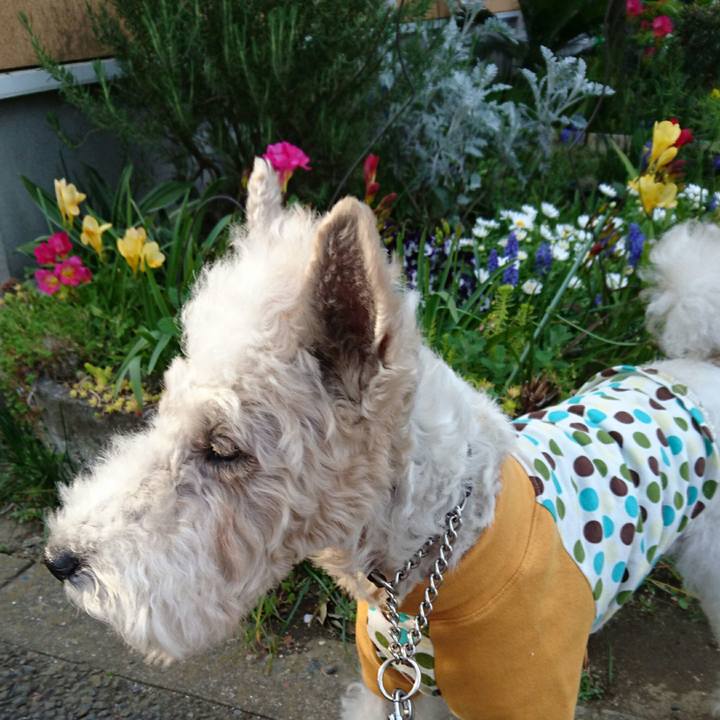 309114b7 3f07 4d55 a54c a9c804e227a5