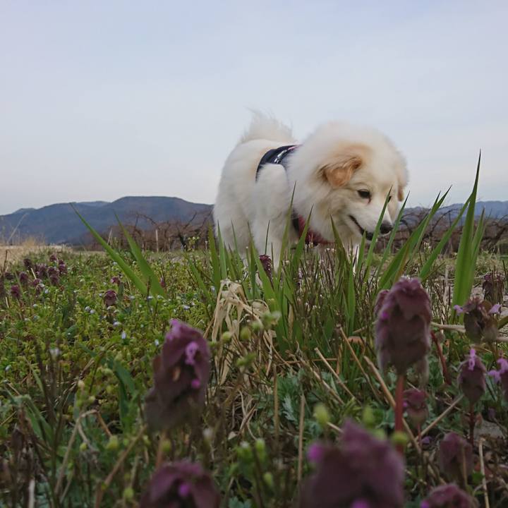 30917783 4fd4 4182 b732 ab2397ae2115