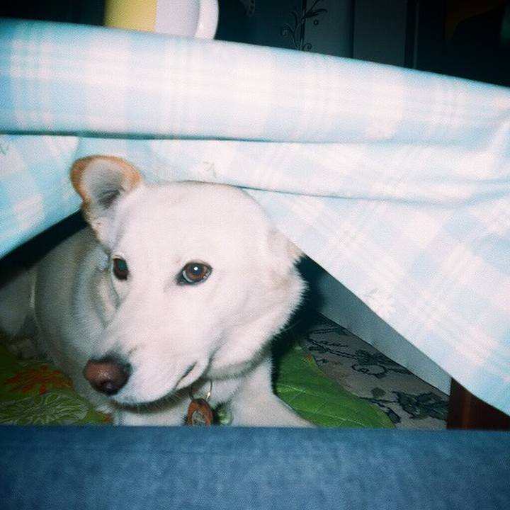 3091f99b 5e5b 4046 a4ed 78134ee357ab