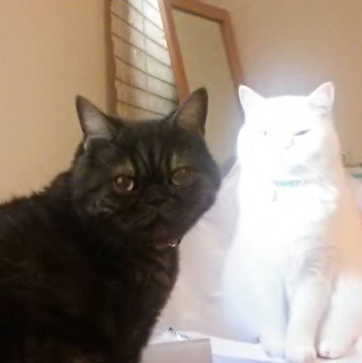 30924504 2628 4d6d b177 6d17e8e85691