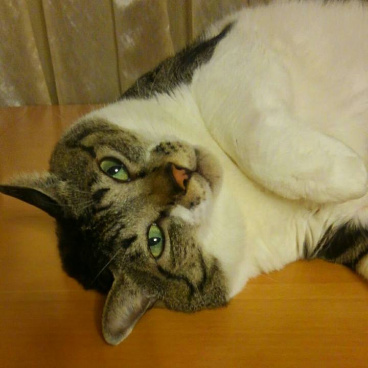 3092559b 50bd 42f6 9aca 72b35a2cefd7