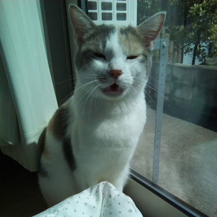 30936e79 76f1 48e7 abbe e4156f02c510