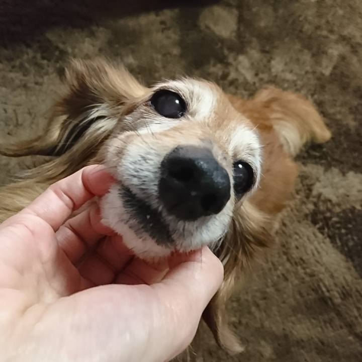 309433d3 d393 483f 8ae1 a0ffc99933e4