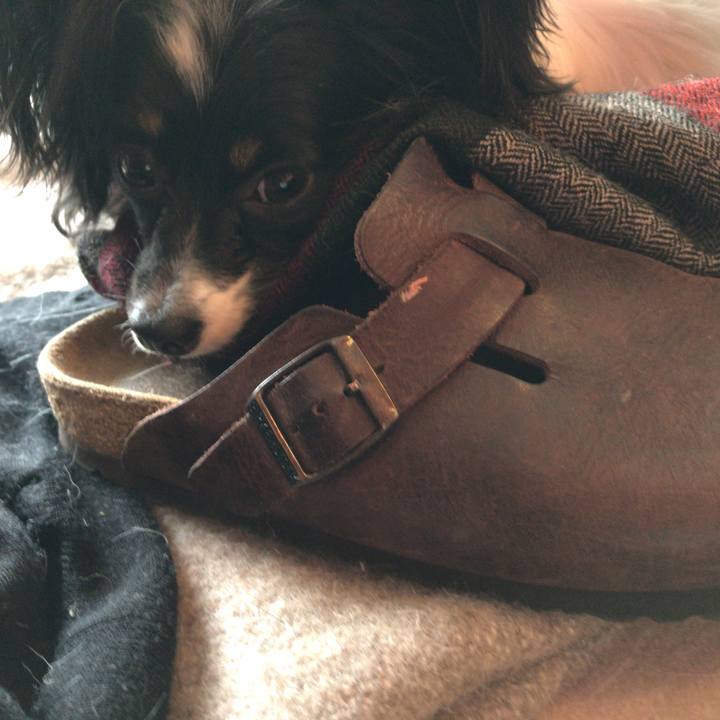 3094909b 73d2 49c9 ab8f 8f2a53c719ad