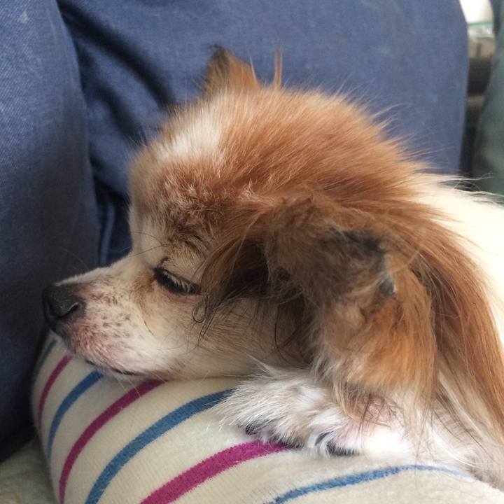 30954c36 b639 44db bed5 723290d8fb09