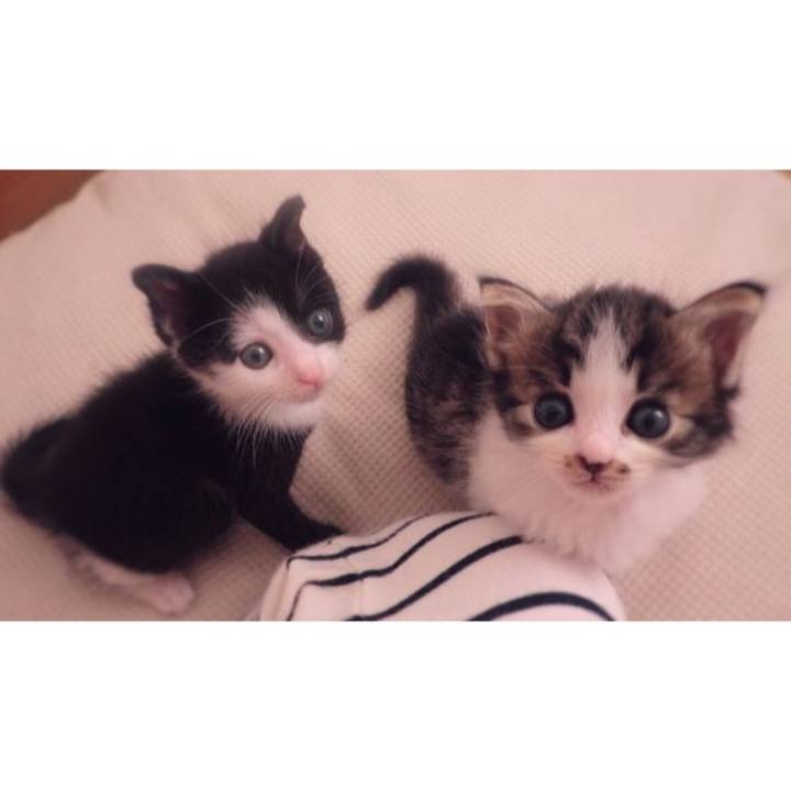 30955ebf abf4 460f ba74 90c2fde76aa4