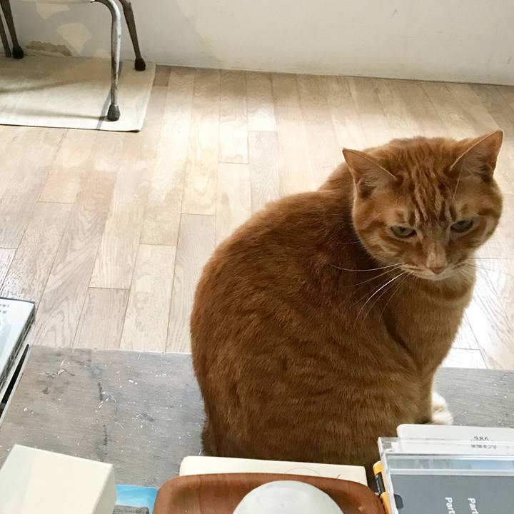 30956805 c454 45e1 bd16 fccf8d7cca34