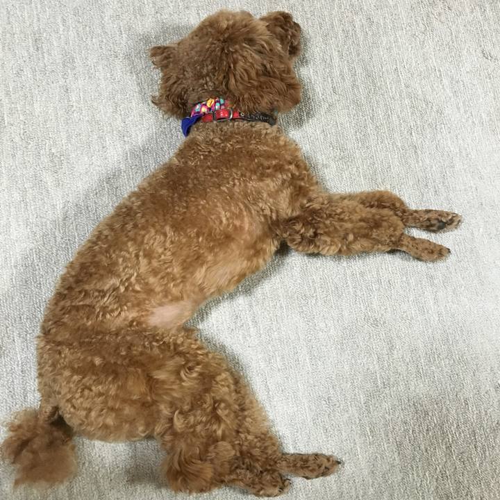 30959dc4 3574 496a b5b9 070dec3c0584