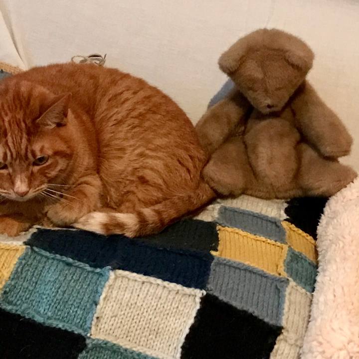 3095b15d 71ce 4c3d ab70 9fde5667b7a3