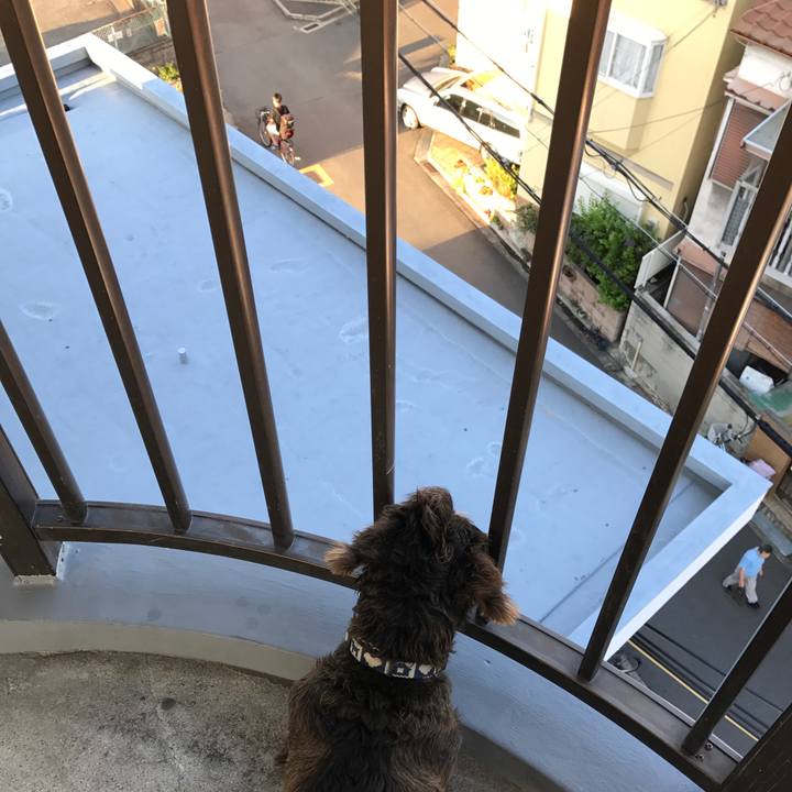 3096762c 3f0f 4a9c adba 8b94726b8d66