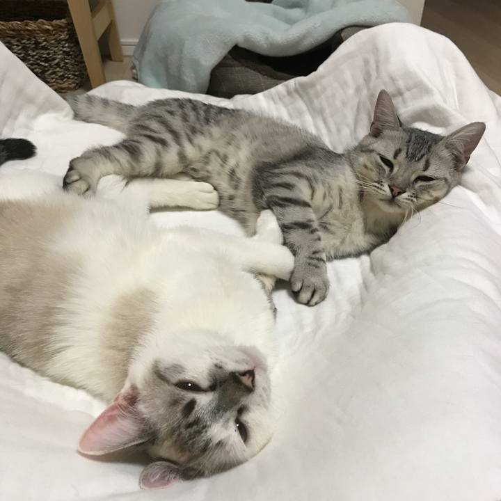 3096bc09 c890 435b 89ab 1061e481cbe9