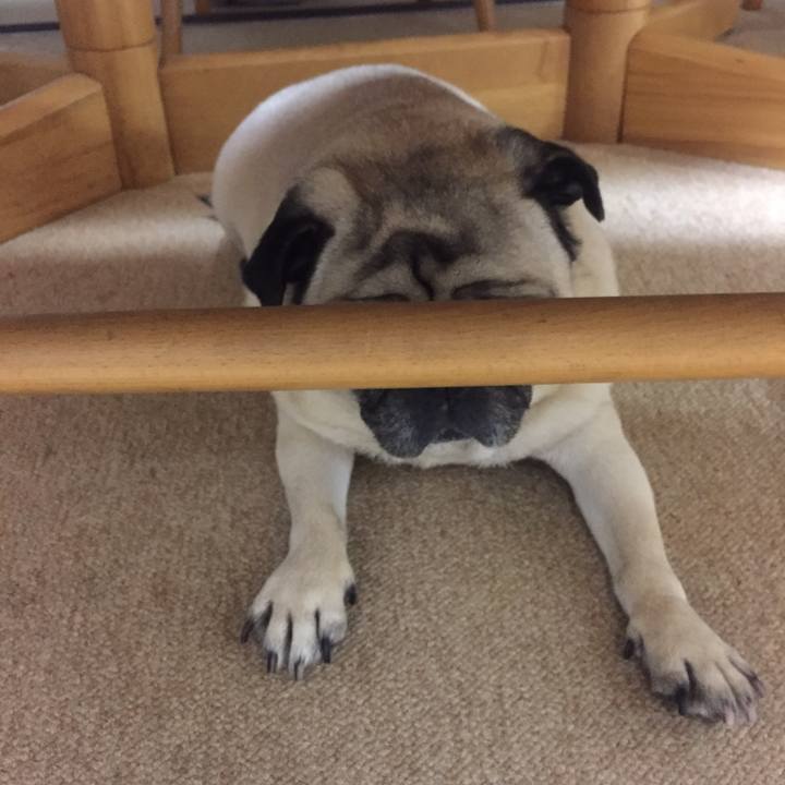 30976330 68e1 4564 9c80 eb21ca21ca1c